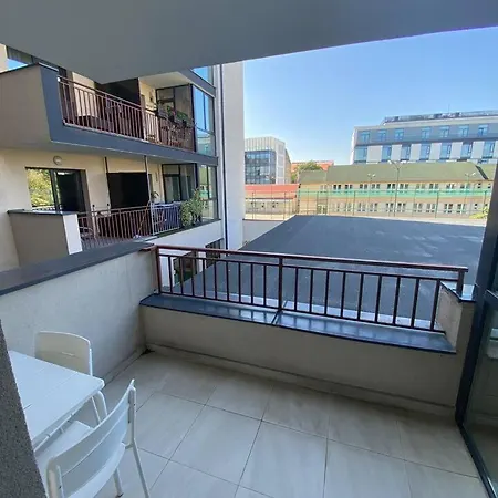 Platinia * Κλουζ-Ναπόκα